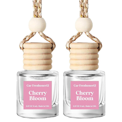 Hanging Car Fragrance Diffuser Set – 2 Pack