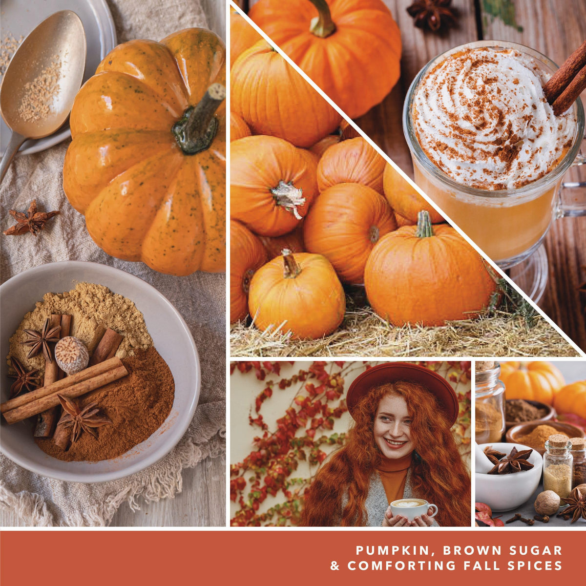 Spiced Pumpkin Hanging Car Air Freshener